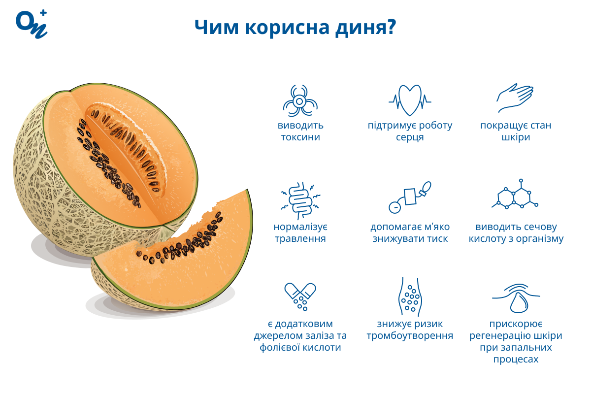 Чим корисна диня?