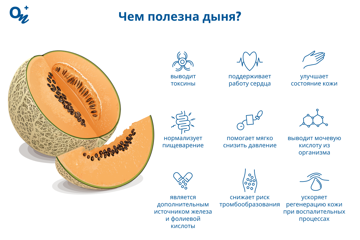 Чем полезна дыня?
