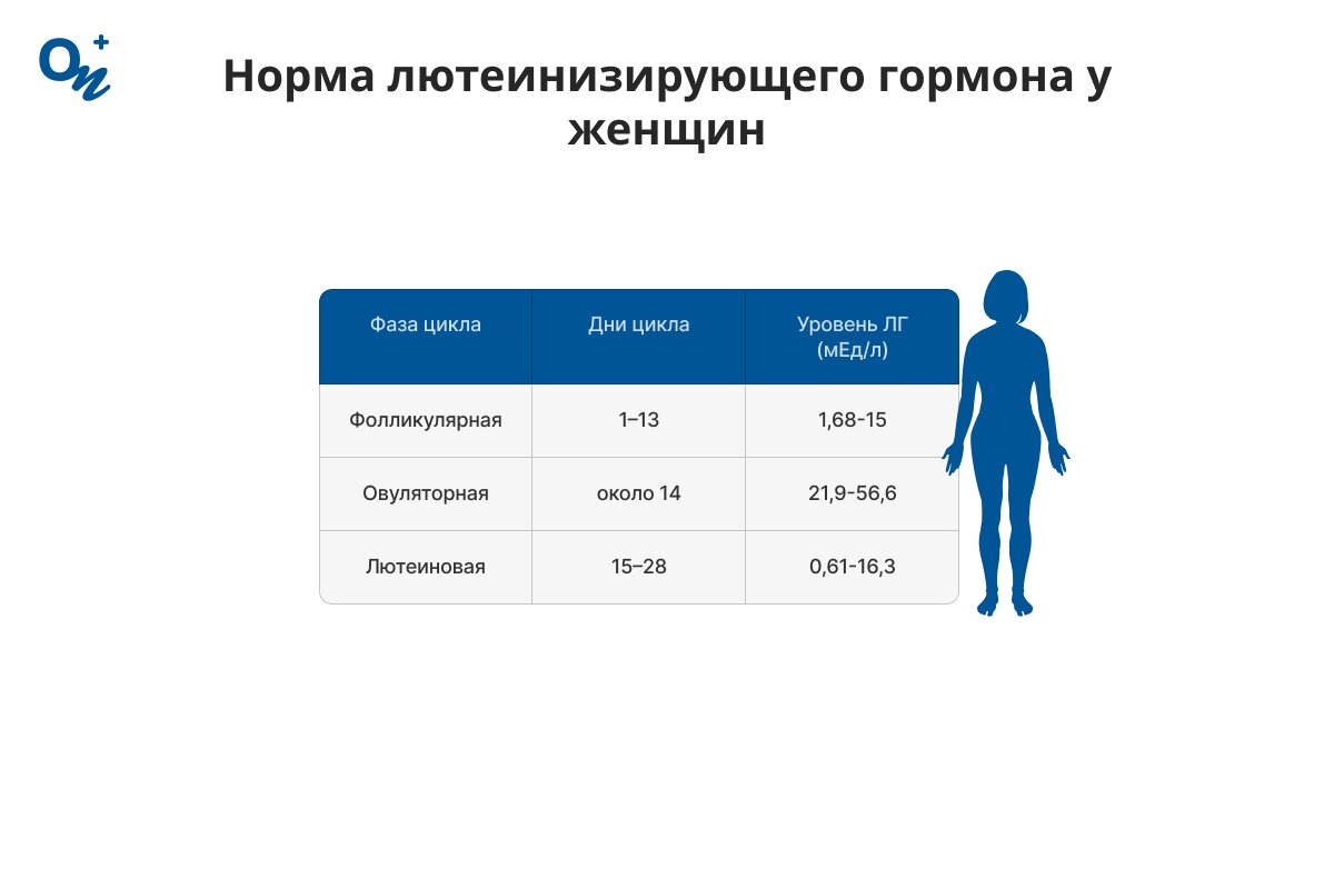 Какая норма лютеинизирующего гормона у женщин?