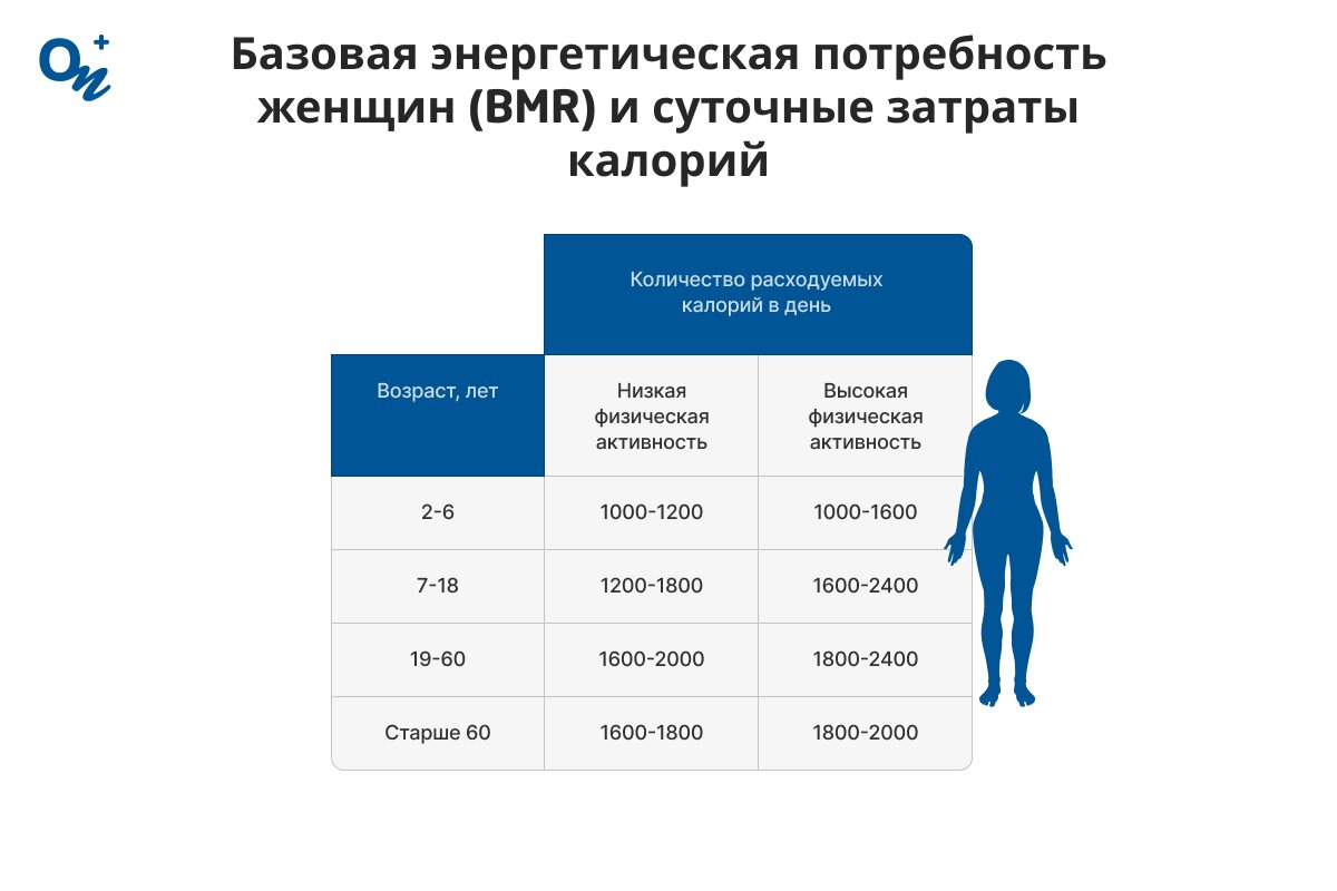 Базовая энергетическая потребность женщин (BMR) и суточные затраты калорий