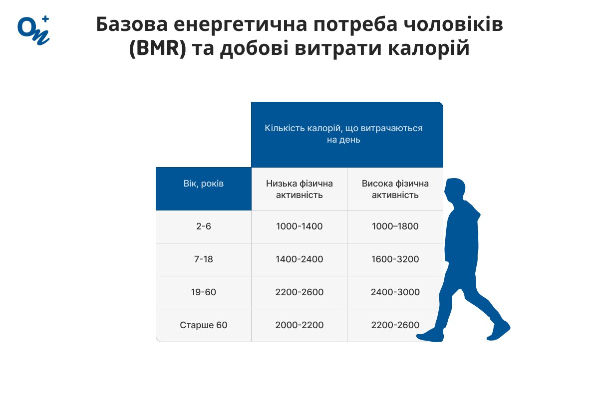 Базова енергетична потреба чоловіків (BMR) та добові витрати калорій