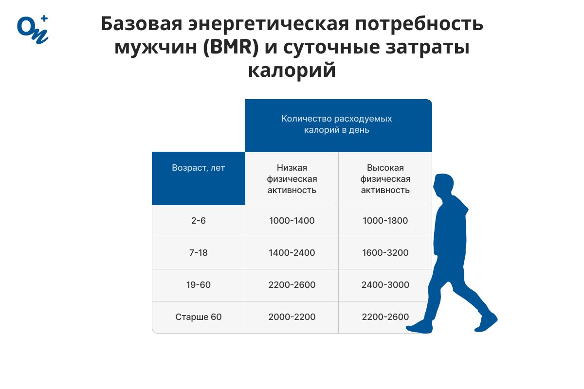 Базовая энергетическая потребность мужчин (BMR) и суточные затраты калорий