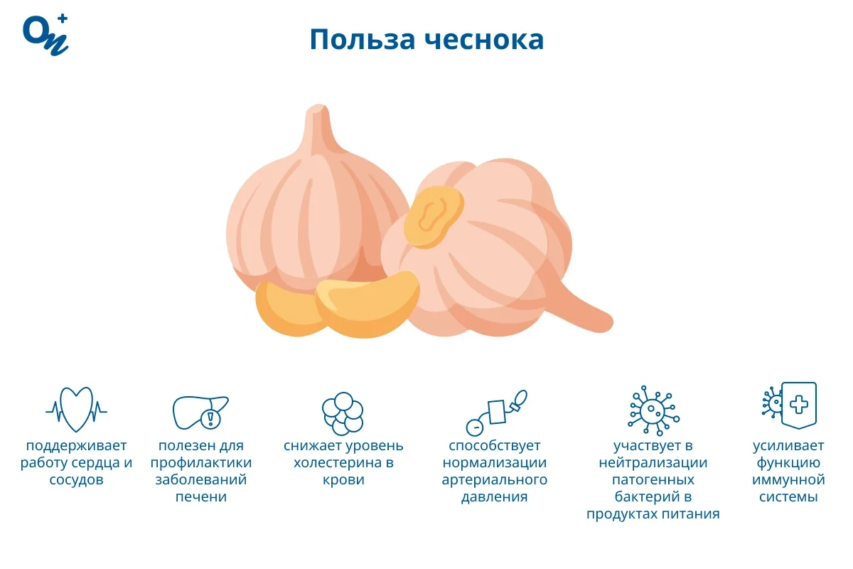 Польза чеснока