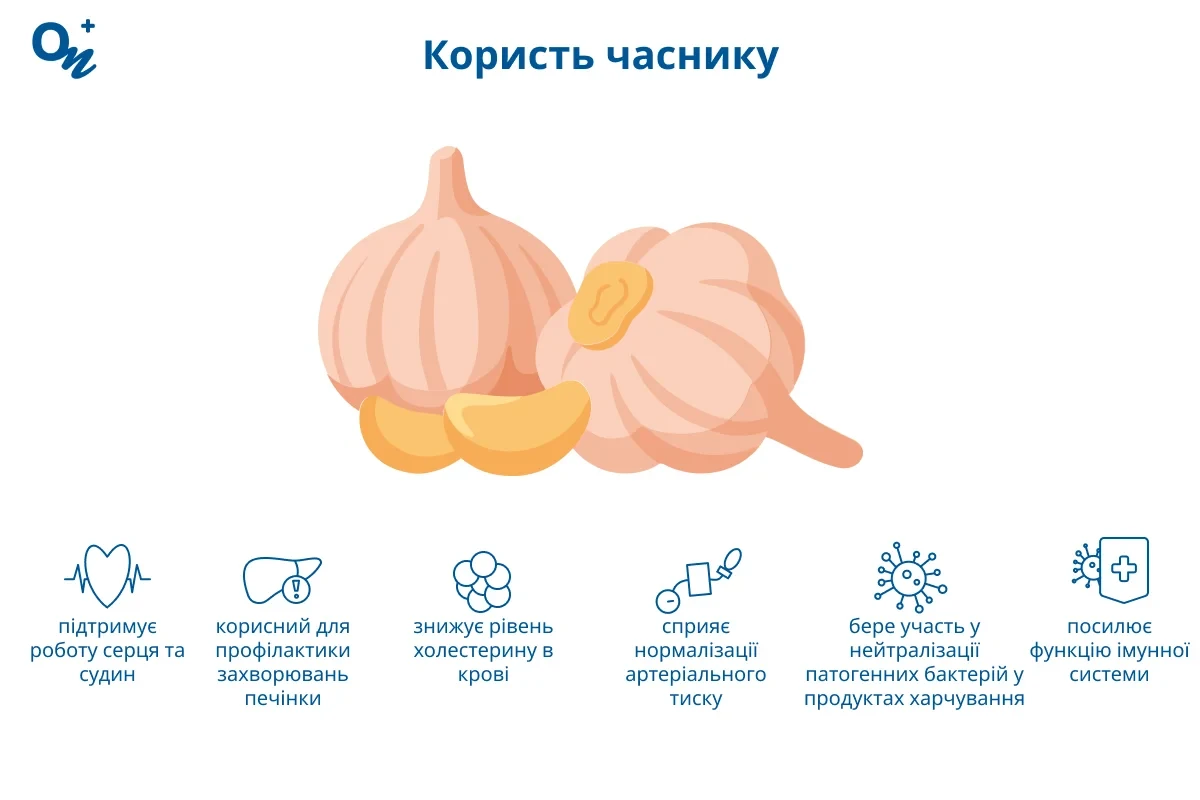 Користь часнику