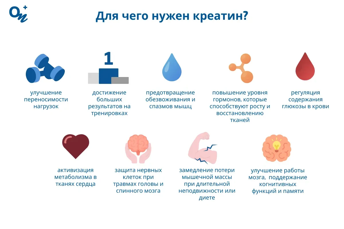 Для чего нужен креатин?