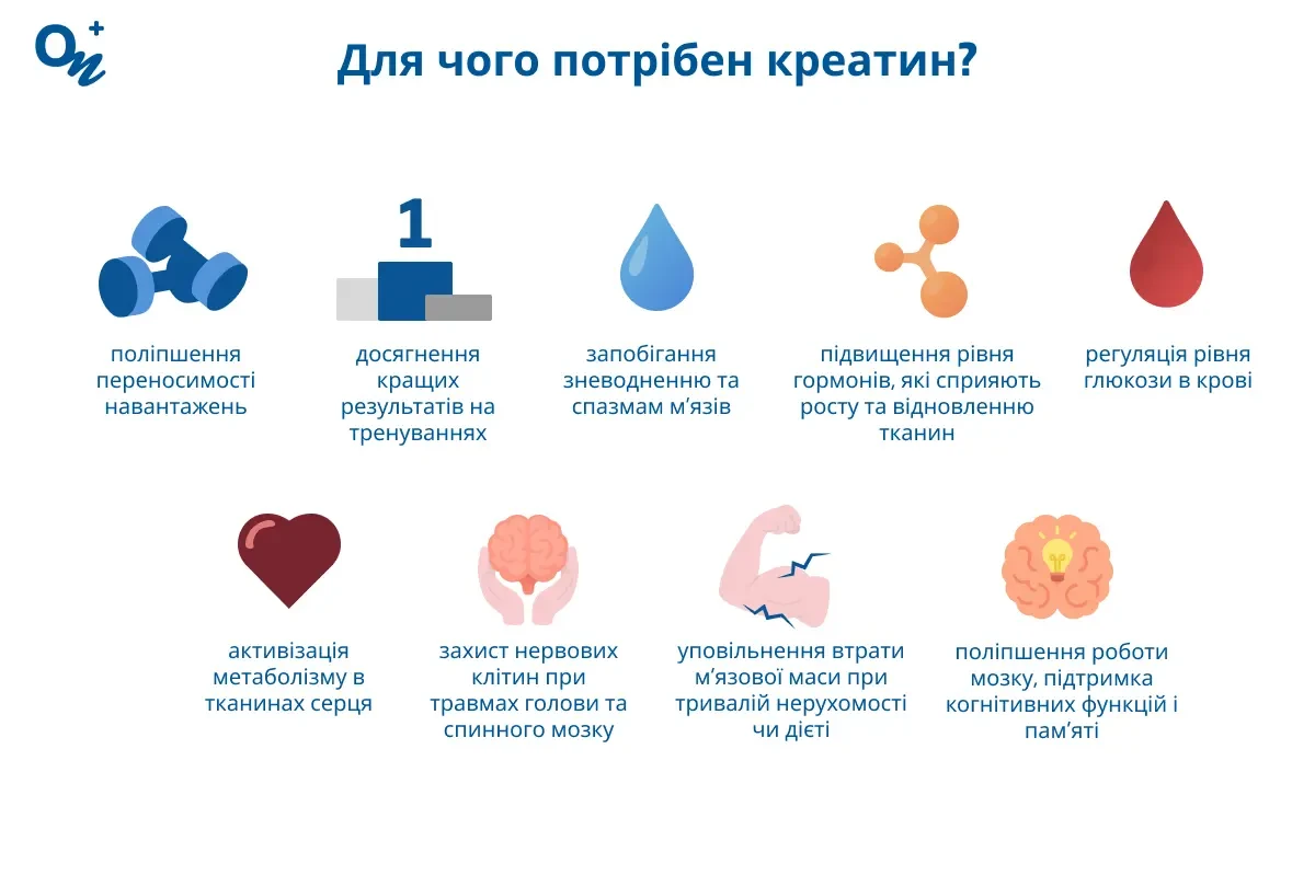 Для чого потрібен креатин?