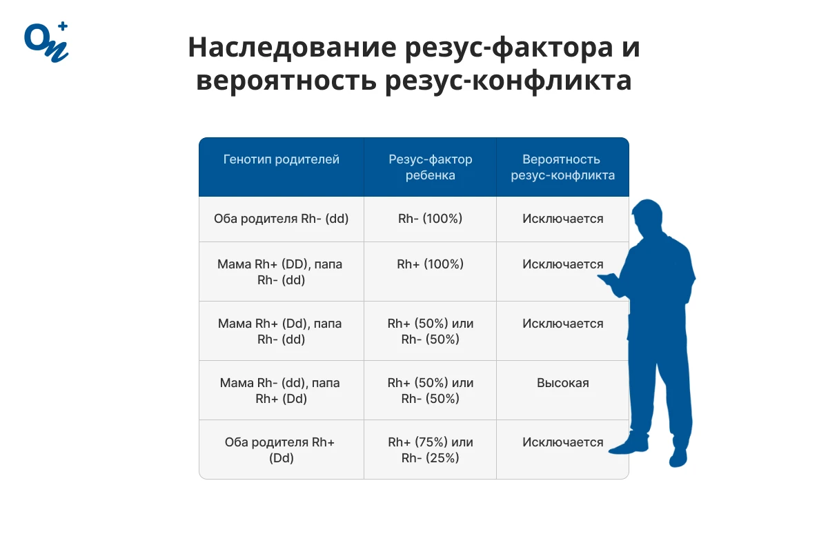 Наследование резус-фактора и вероятность резус-конфликта