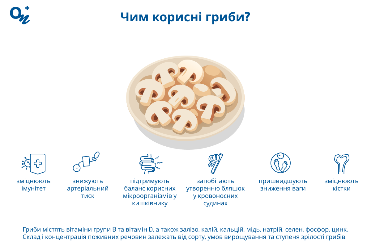 Чим корисні гриби?