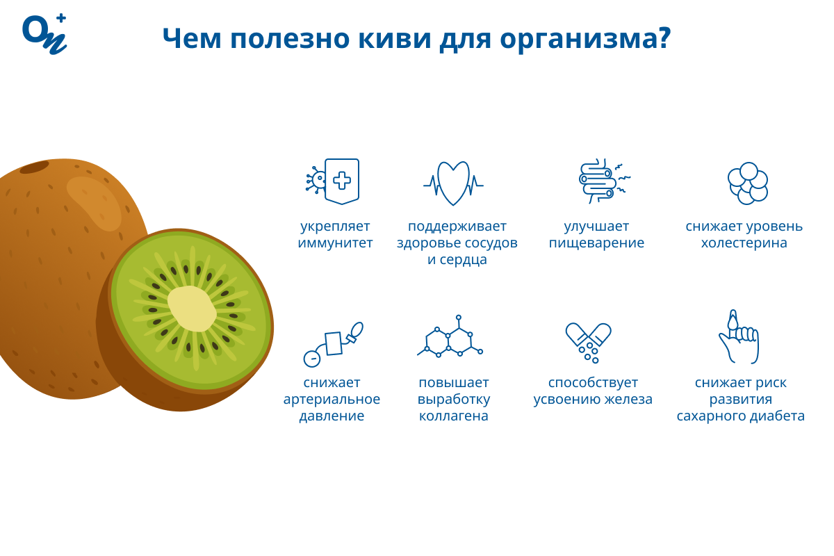 Чем полезен киви для здоровья?