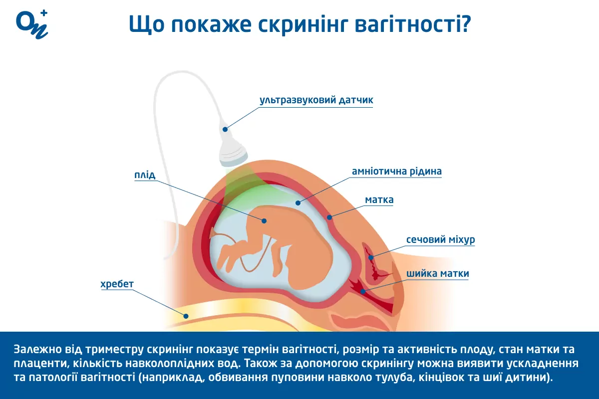 БУЗ Ижевская городская поликлиника №2 - Вопрос - ответ