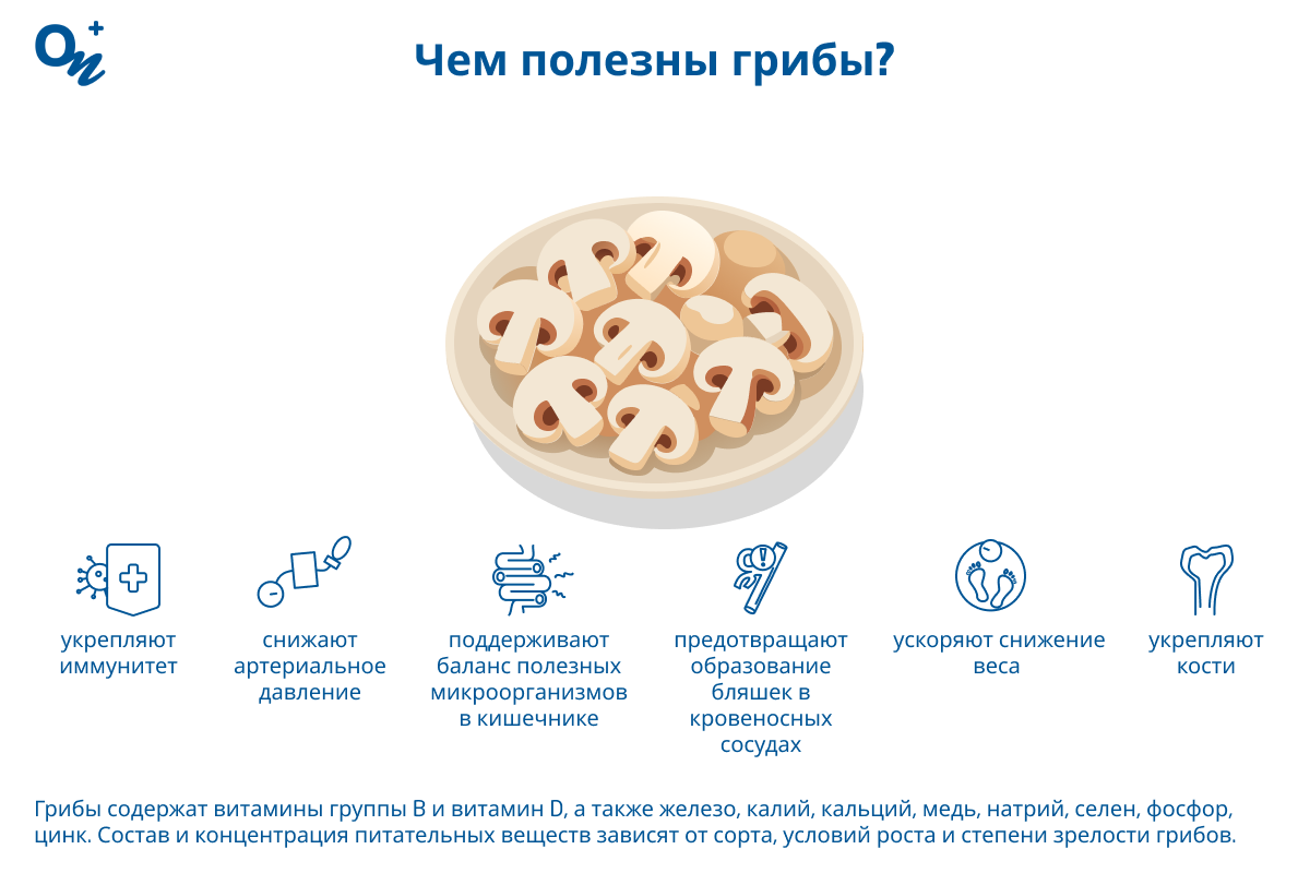 Чем полезны грибы?