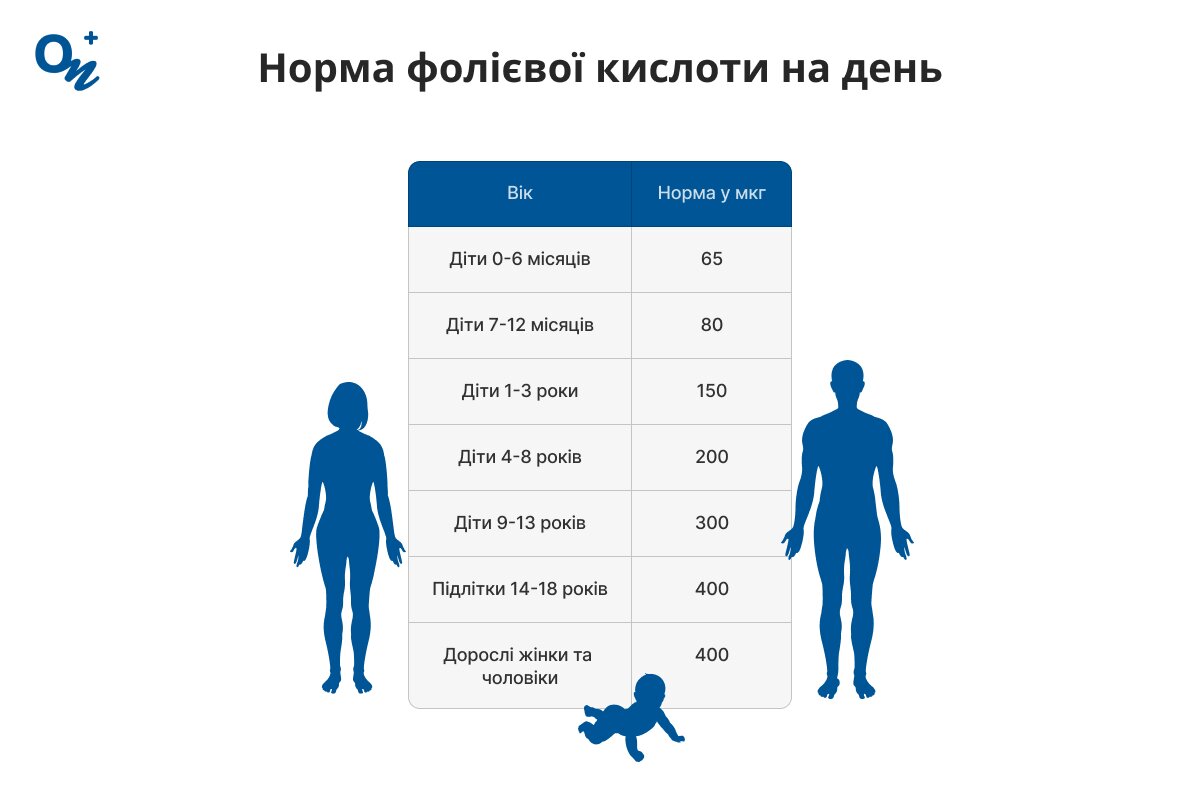 Яка норма фолієвої кислоти на день?