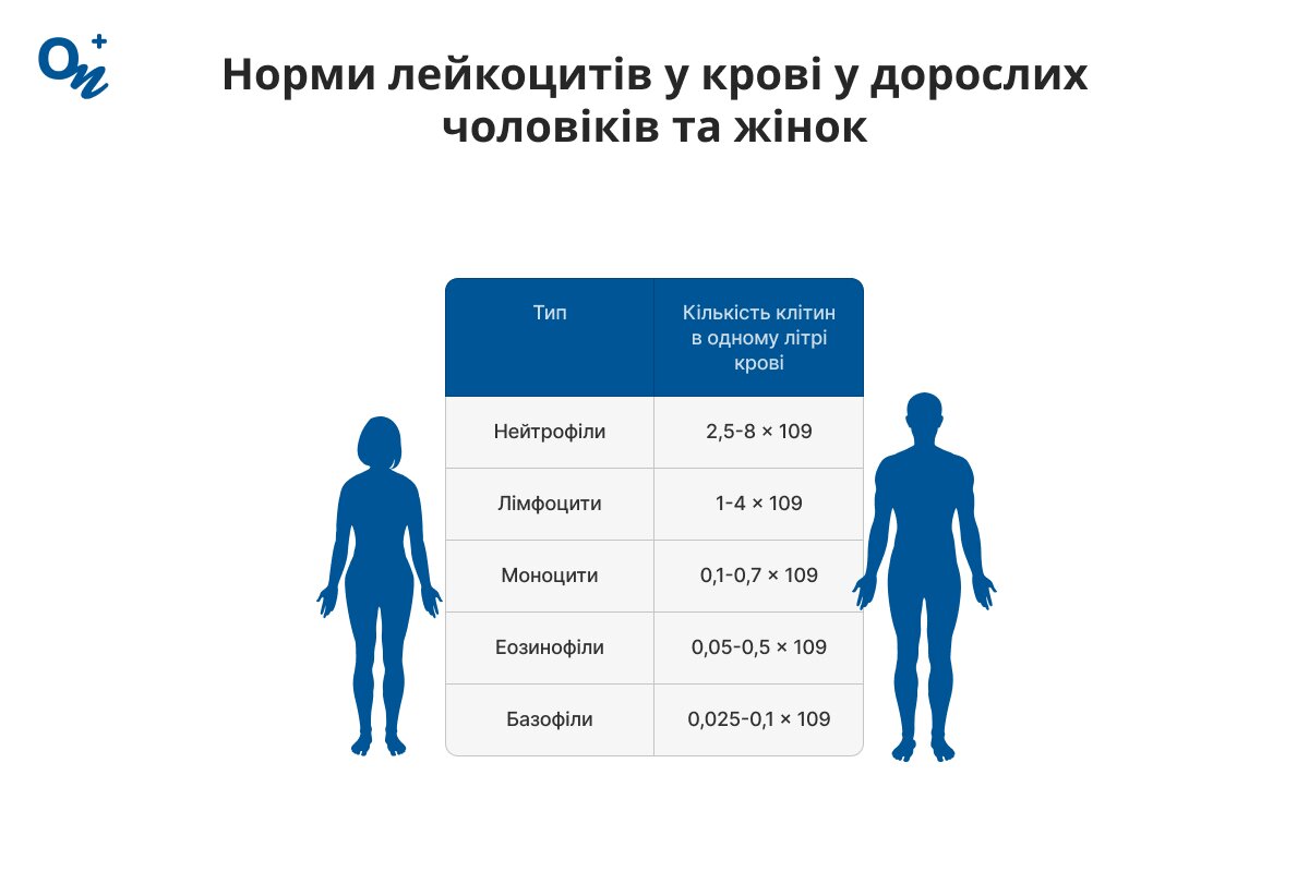 Які норми лейкоцитів у крові у дорослих чоловіків та жінок?