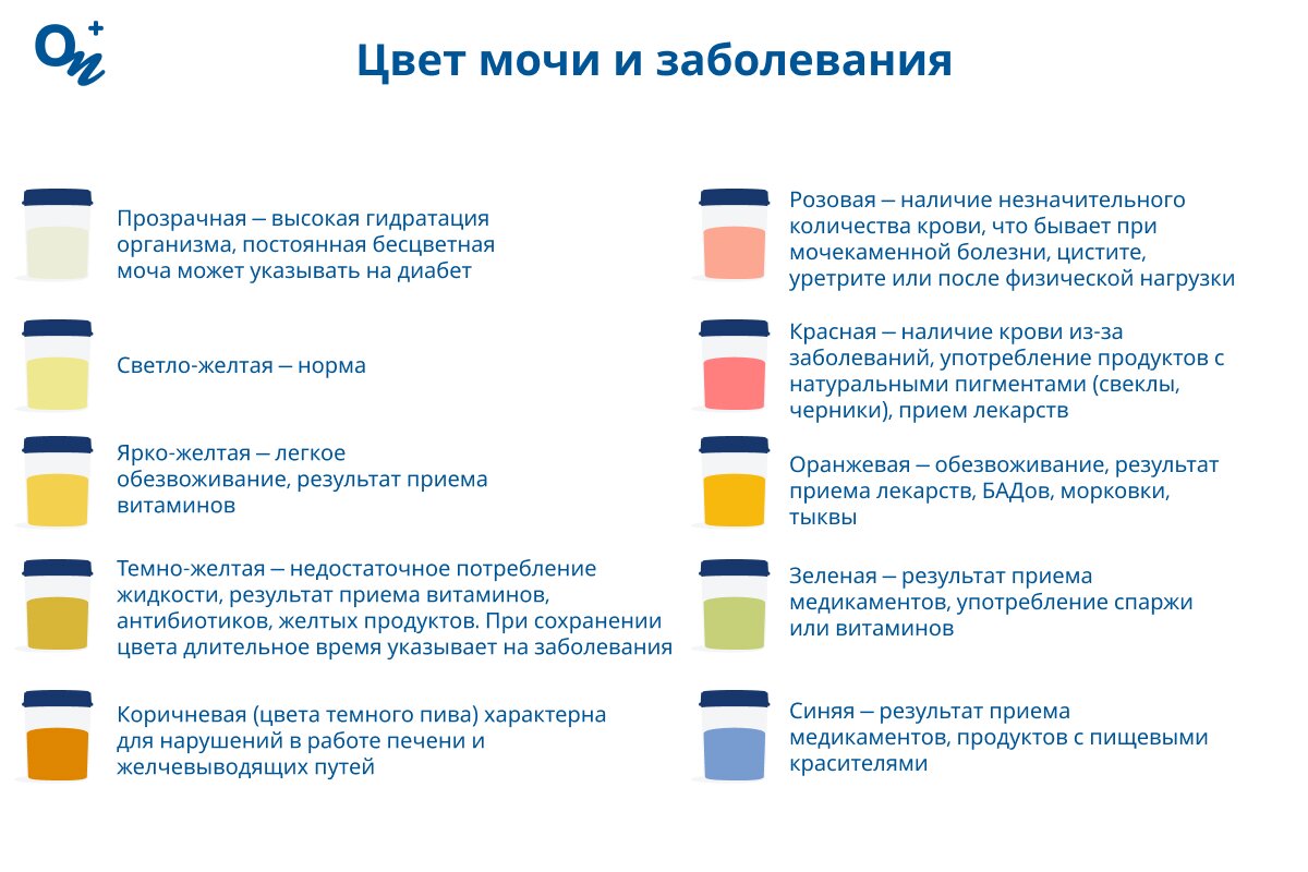 Цвет мочи и заболевания