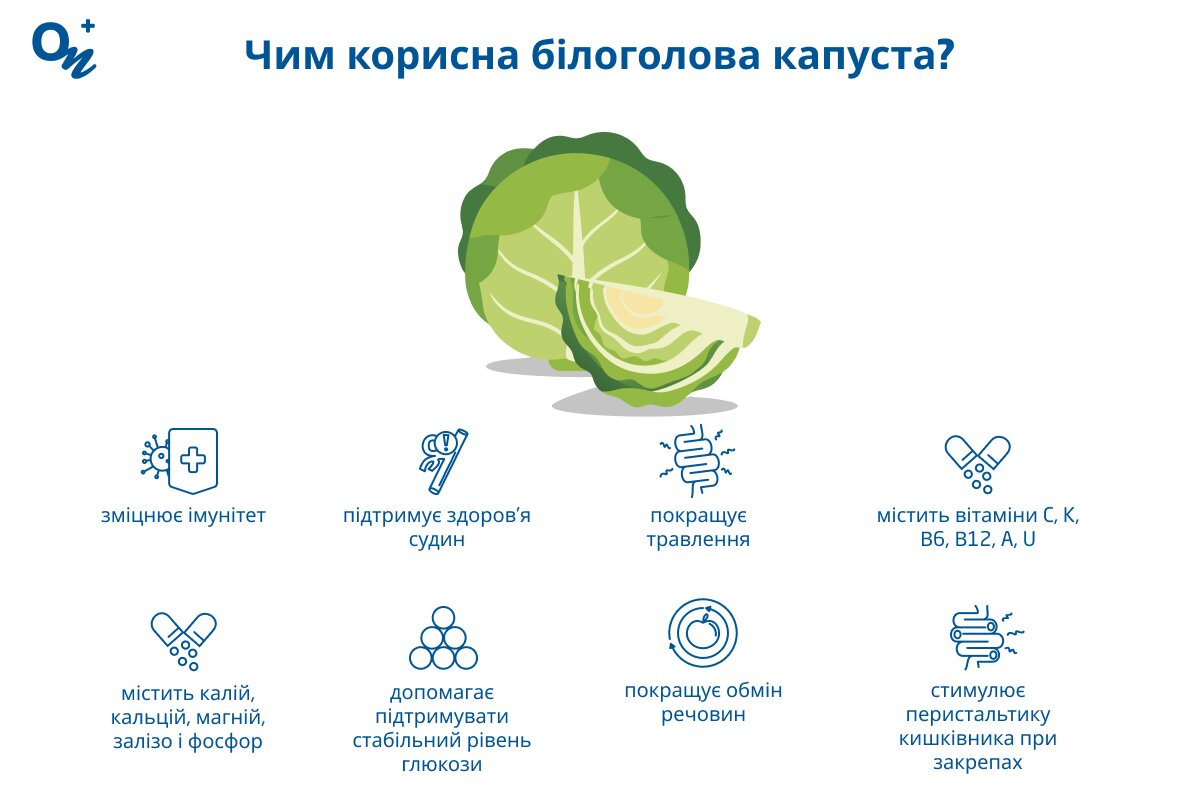 Чим корисна білоголова капуста?