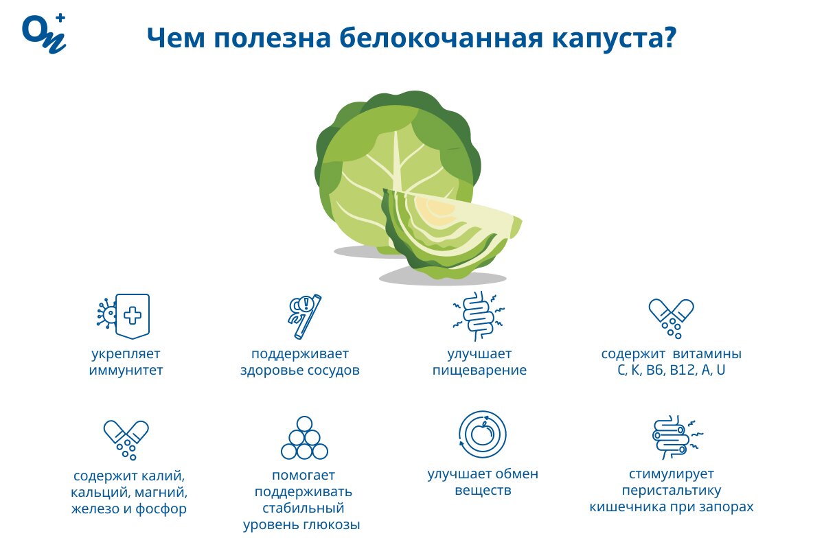 Чем полезна белокочанная капуста?