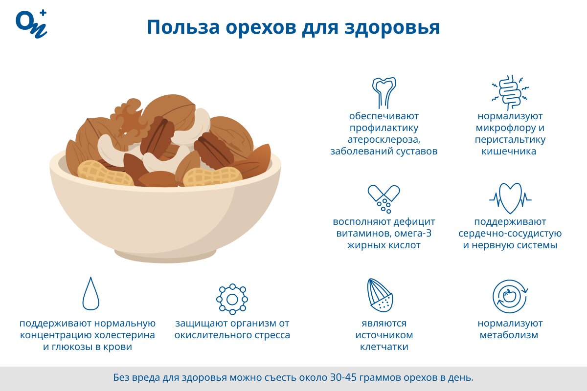 Польза орехов для здоровья