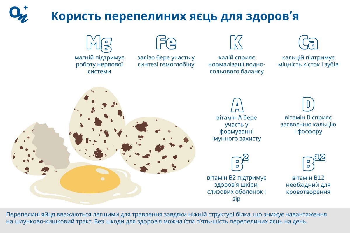 Чим корисні для здоров’я перепелині яйця?