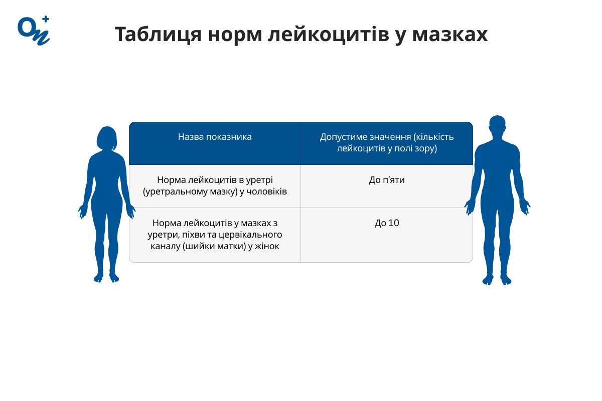Таблиця норми лейкоцитів в мазках