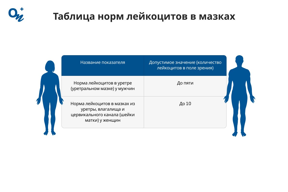 Таблица нормы лейкоцитов в мазках