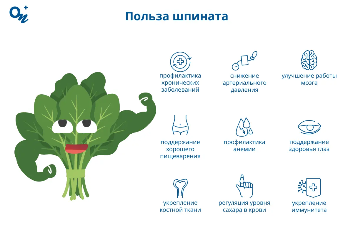 Польза шпината