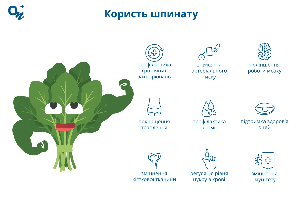 Користь шпинату
