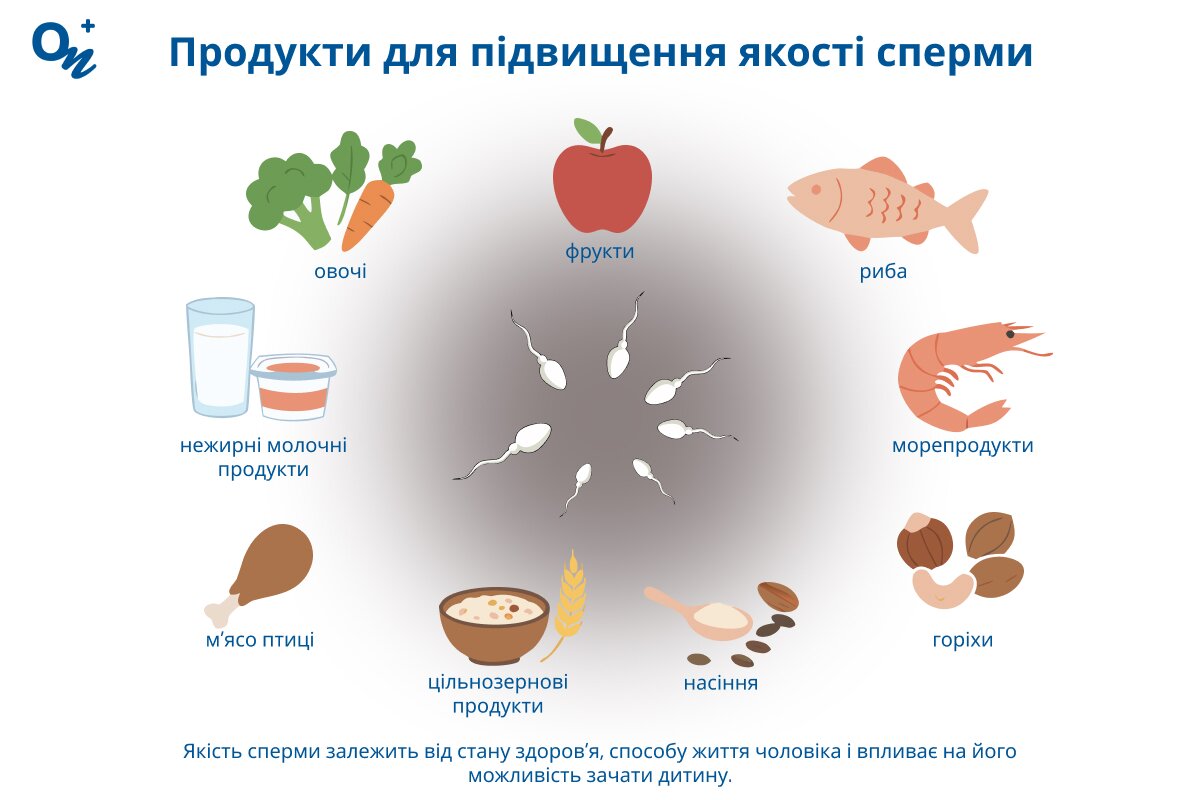 Що їсти для поркащення якості сперми?