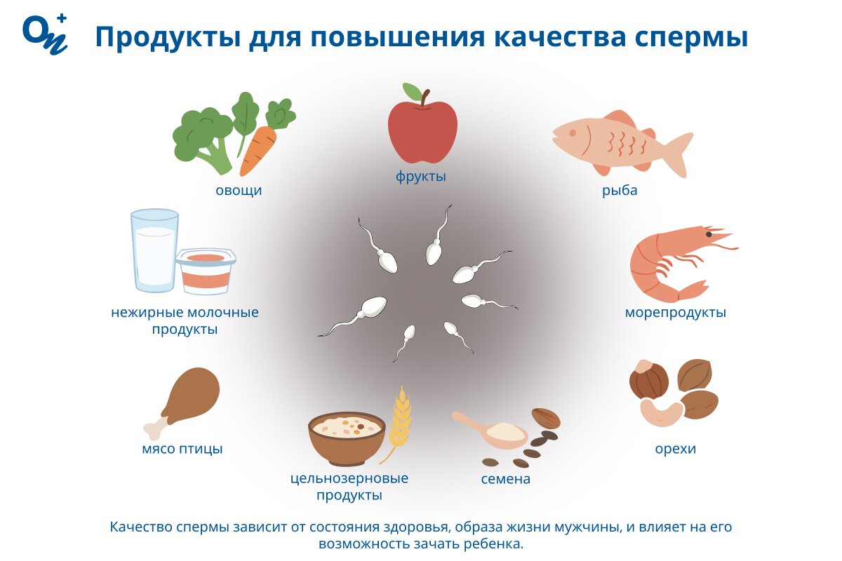 Что есть для улучшения качества спермы?
