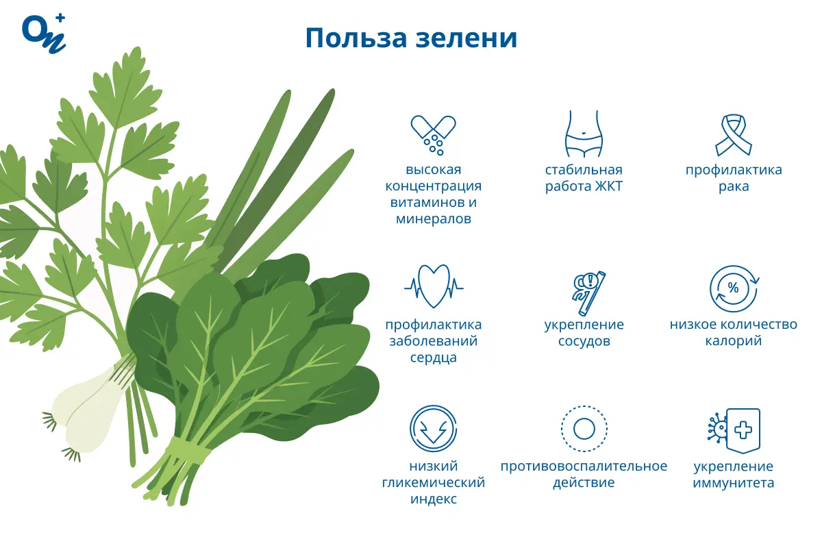 Польза зелени