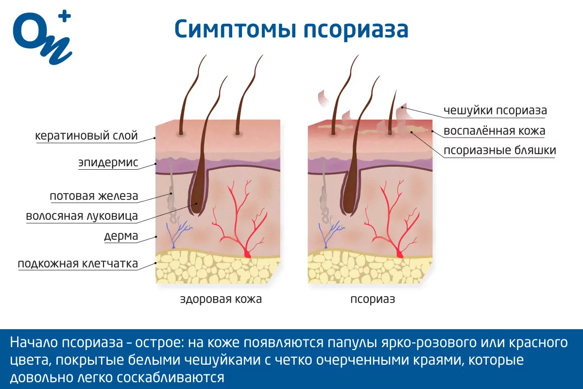 Карта сайта