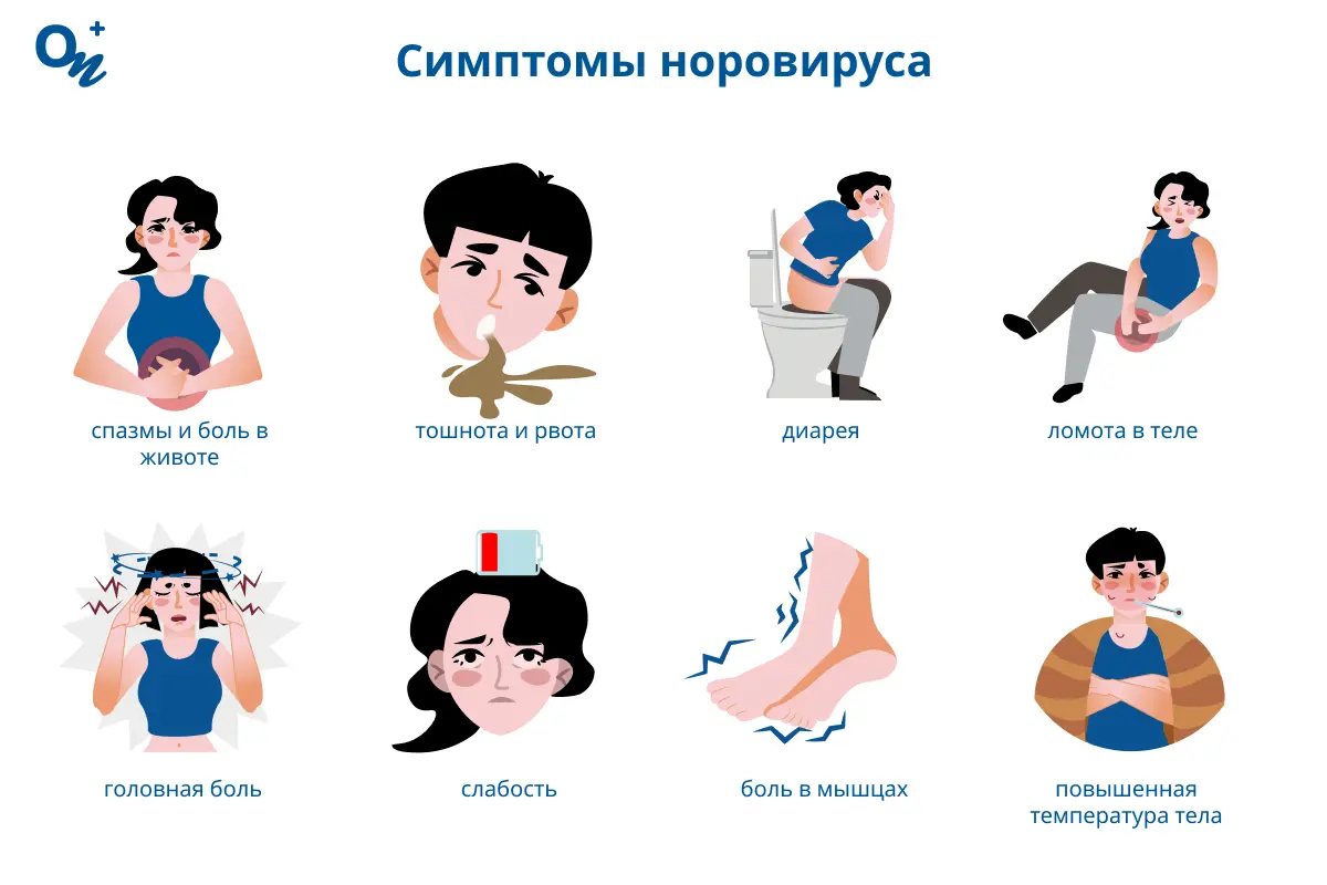 Норовирус