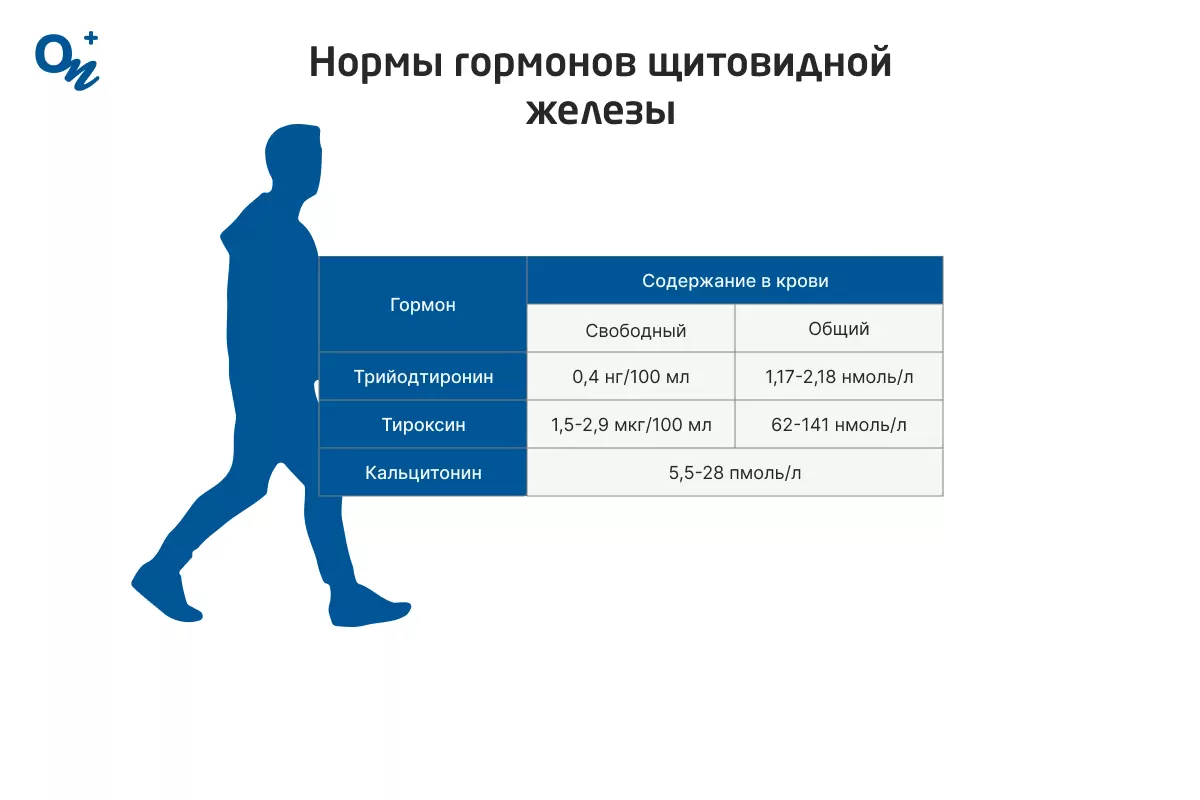 Таблица нормы гормонов щитовидной железы — блог медицинского центра ОН  Клиник