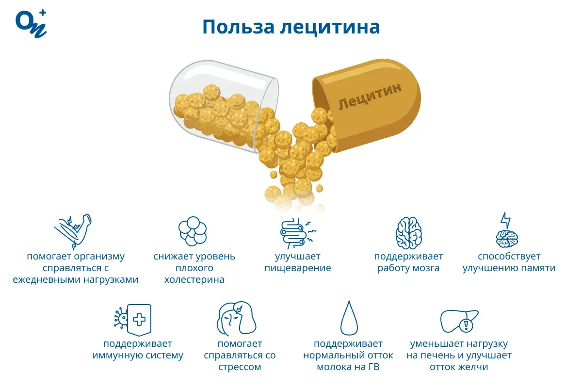 Польза лецитина