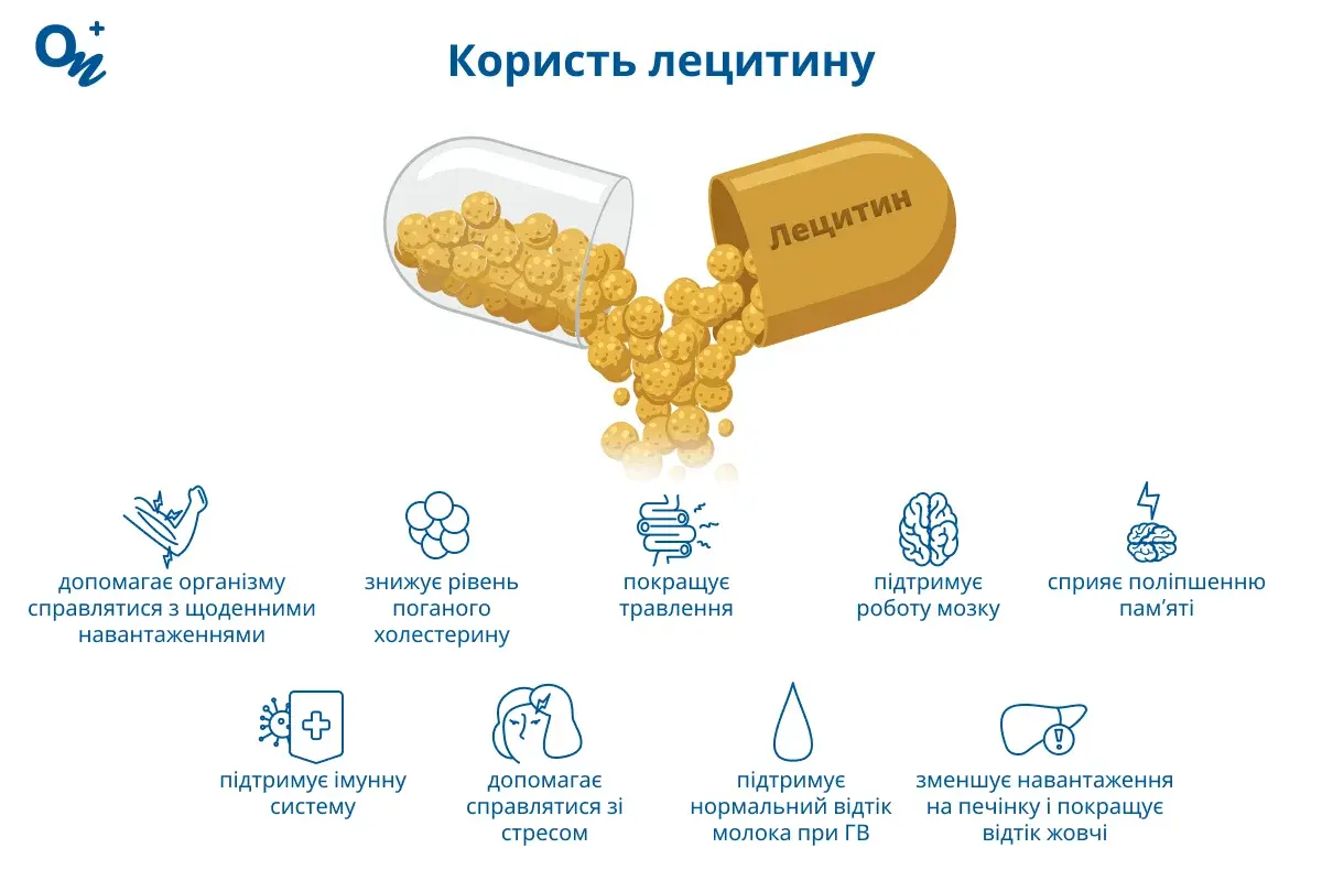 Користь лецитину