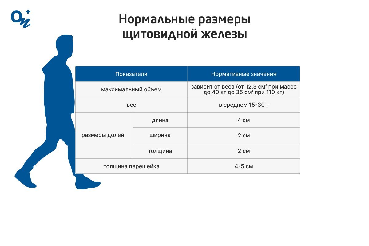 Таблица нормы размеров щитовидной железы