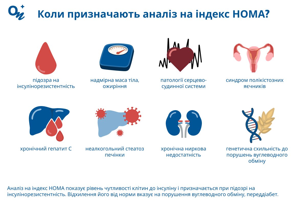Коли призначають аналіз на індекс НОМА?