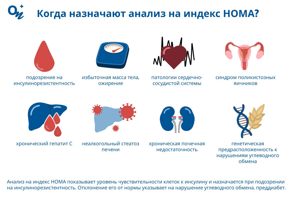 Когда назначают анализ на индекс НОМА?