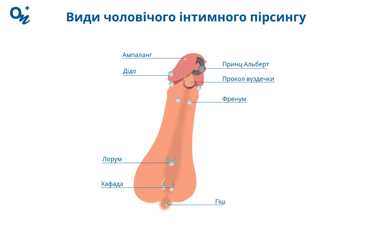 Чоловічий інтимний пірсинг