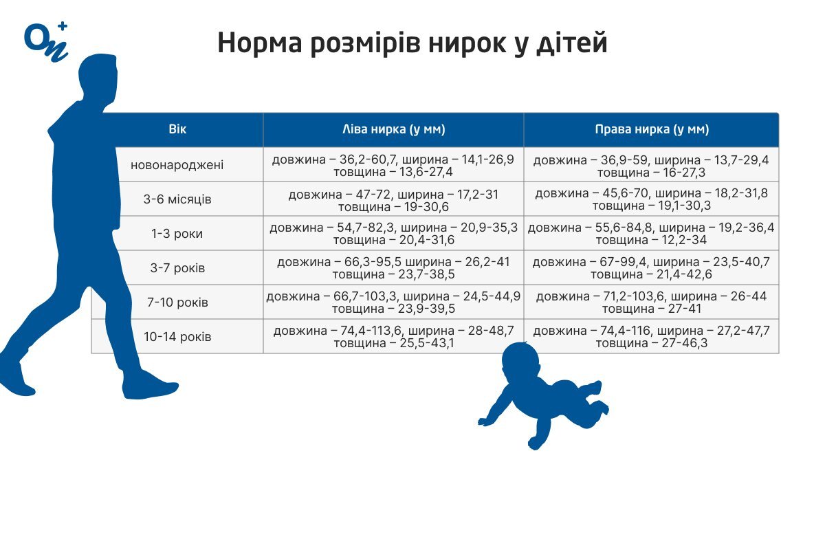 Таблиця норми розмірів нирок у дітей за віком