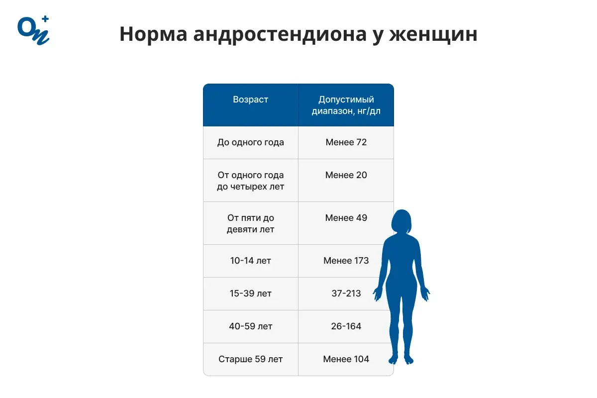 Норма андростендиона у женщин