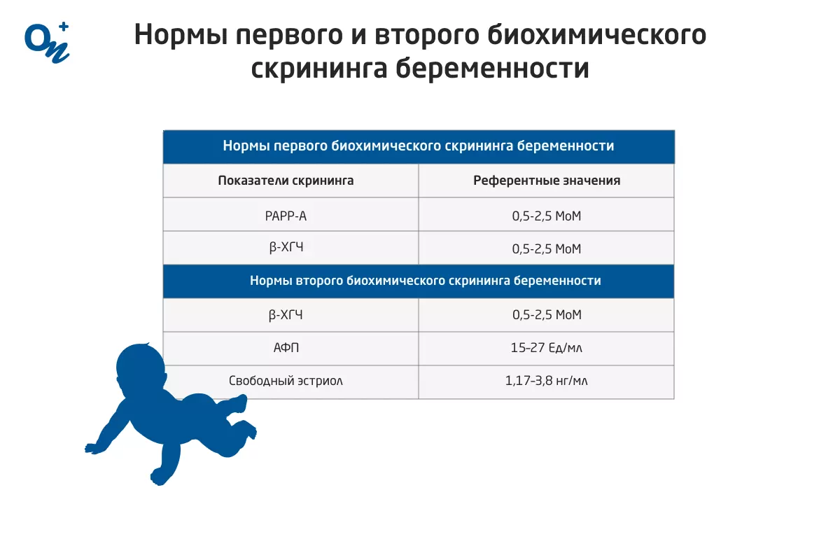 Скрининг 2 триместра беременности