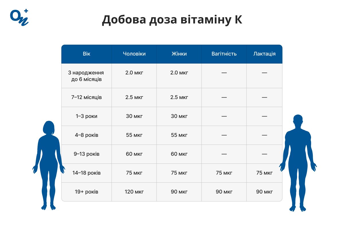 Добова норма вітаміну К