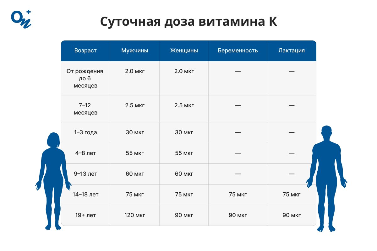 Суточная норма витамина К