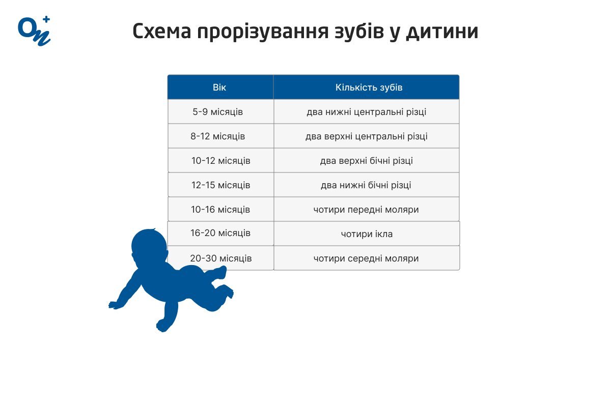 Таблиця норми прорізування зубів у дитини
