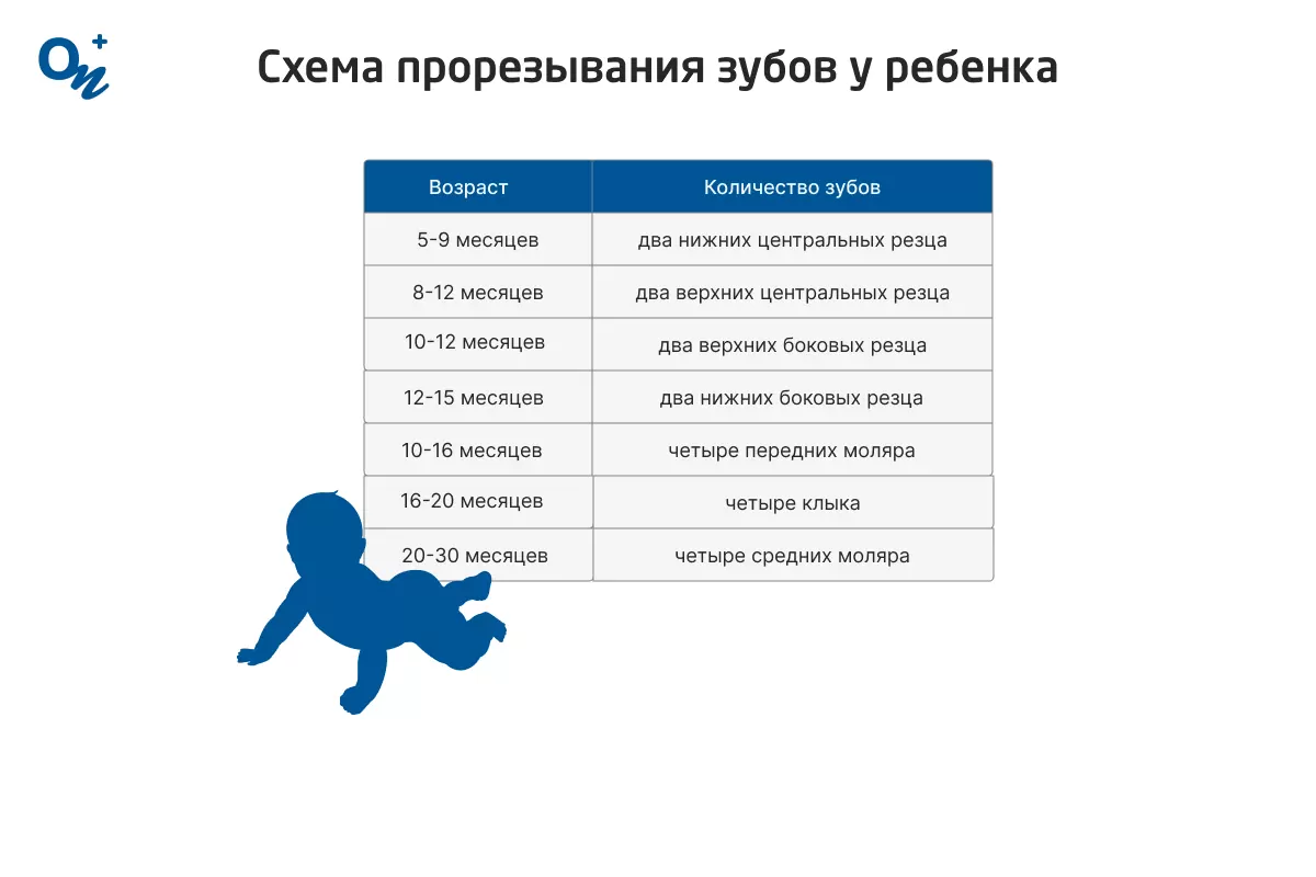 Почему нет зубов у ребенка: главные причины и способы решения проблемы