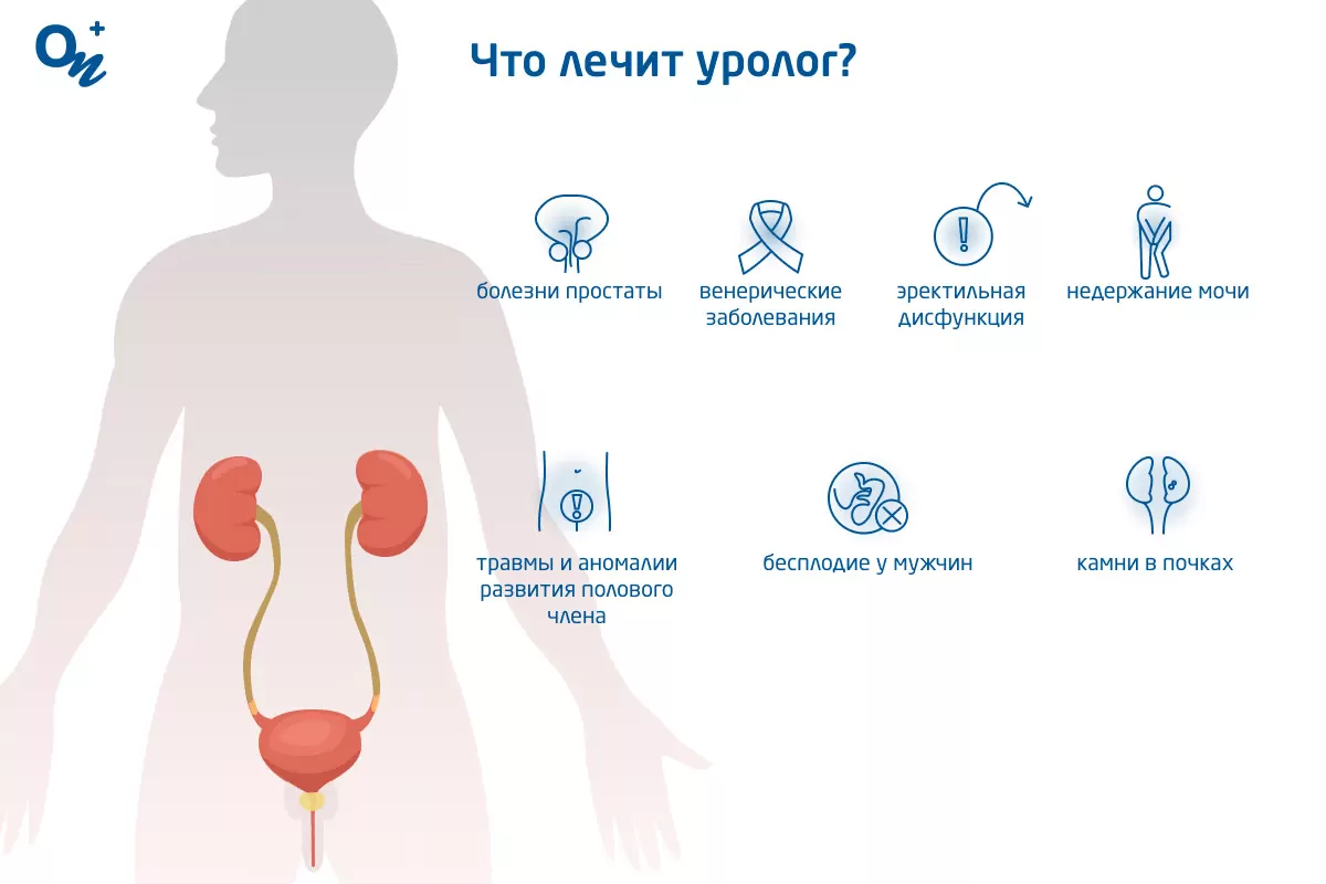 Болезненный половой акт у мужчины – лечение в Кривом Роге