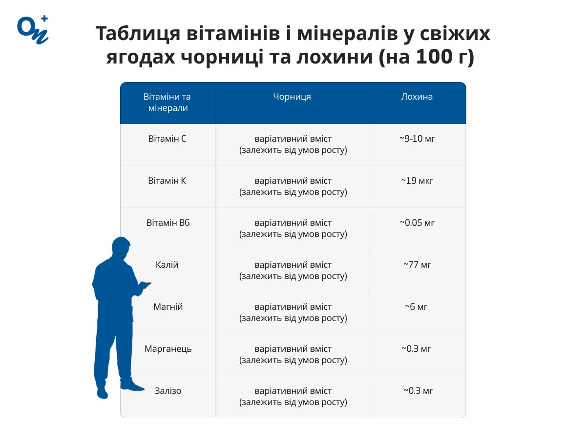Які вітаміни і мінерали є в чорниці та лохині?