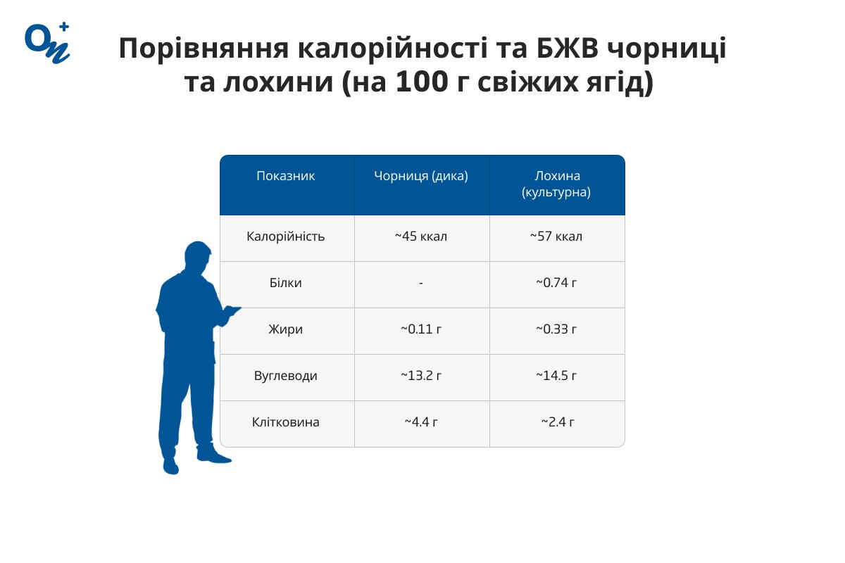 Яка калорійність чорниці та лохини?