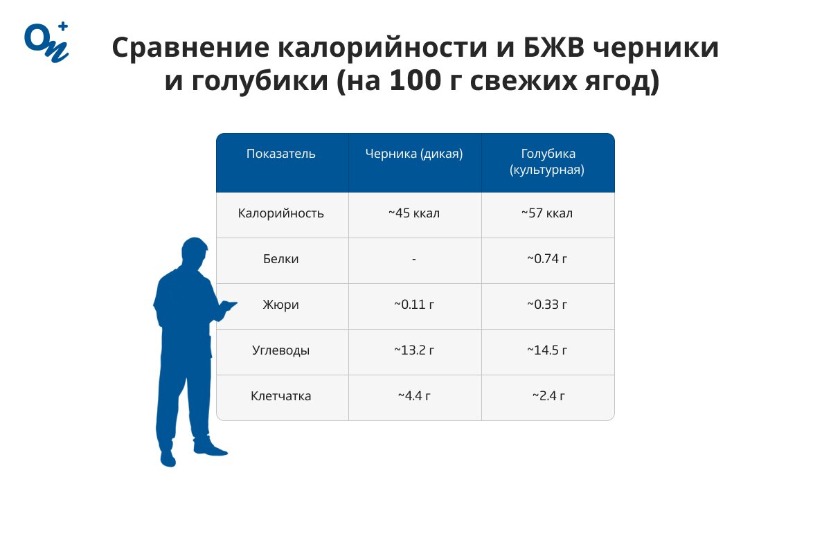 Какая калорийность черники и голубики?