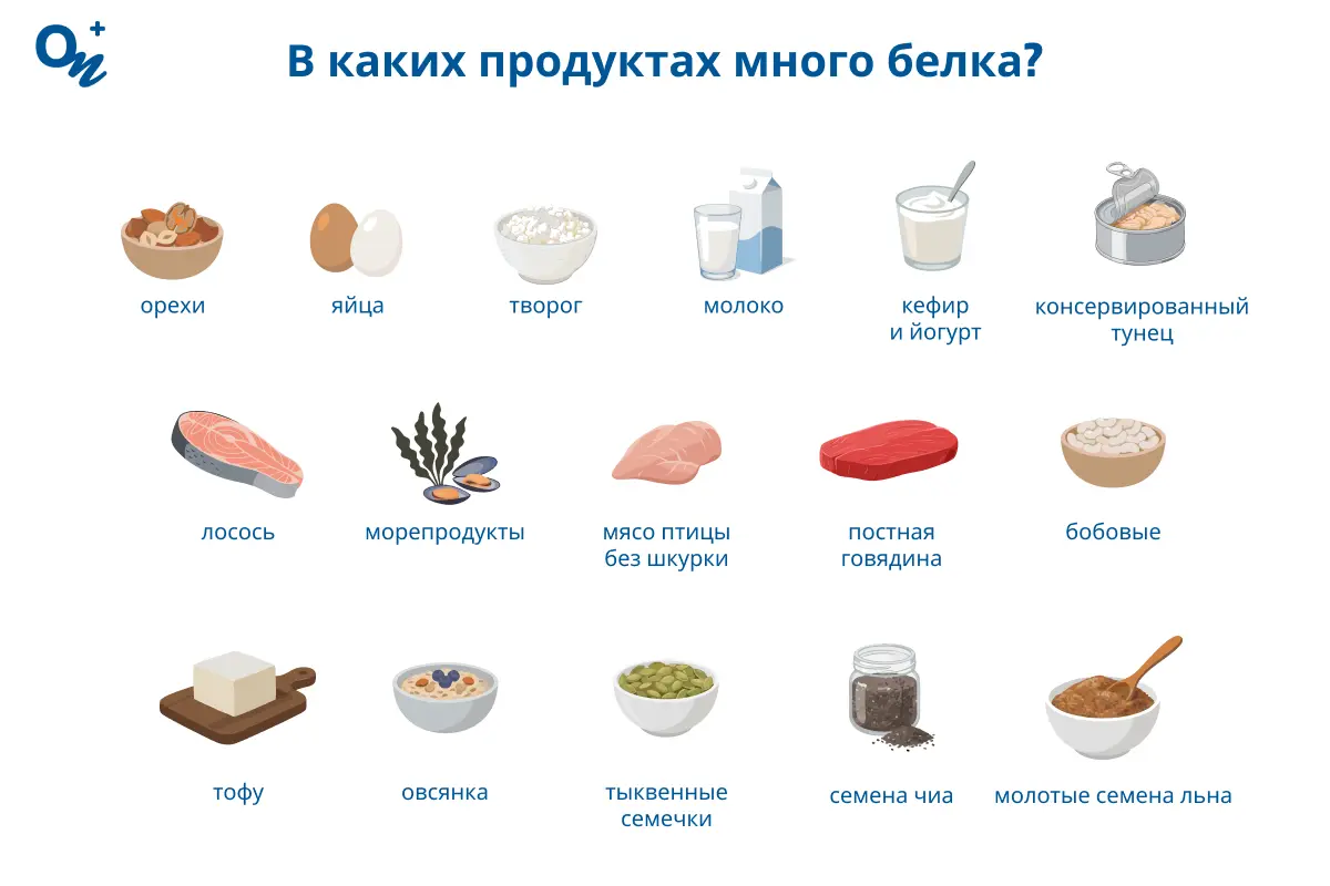 В каких продуктах много белка?